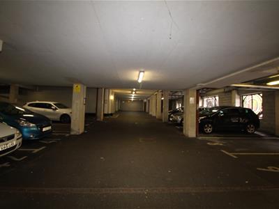 Picture 10